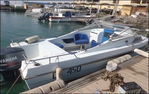 vedette type cabine cruiser ROCCA