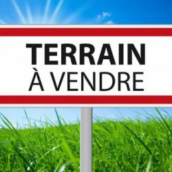 Parcelle a vendre Balbala warabaleh