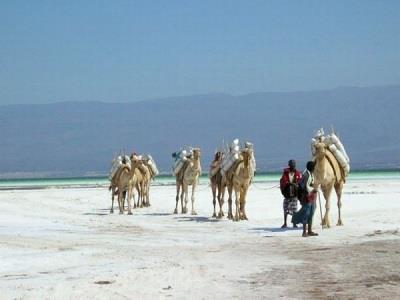 Guide touristique