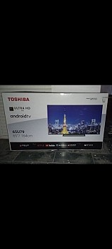 Écran plat Toshiba 65"