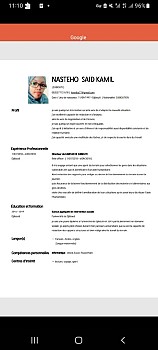 Recherche emploi dans tout les domaines
