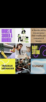 Services à domicile pour l\'été, prix selon vos demandes