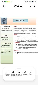 Jeune diplômé recherche emploi en électricité et en conduite (Catégorie B)