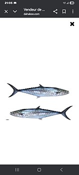 Nouvelle poissonnerie au centre-ville - Livraison gratuite