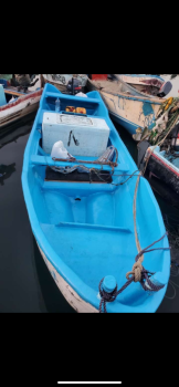 Bateau à moteur Yamaha 15 CV, 5m, économique et confortable