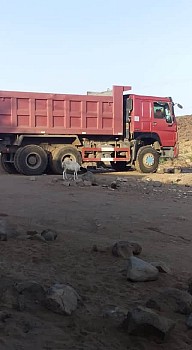 Voiture camion Sinotruck