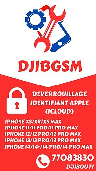 Déverrouillage iCloud ou IDENTIFIANT APPLE (IPHONE)