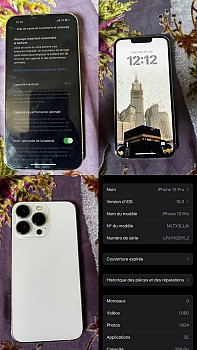 iPhone 13 Pro 256 Go en excellent état