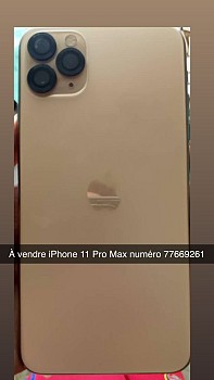 iPhone 11 Pro Max 512 Go, état impeccable, prix négociable