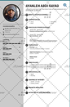 Expérimenté chauffeur avec permis C, D et E à la recherche d\'un poste
