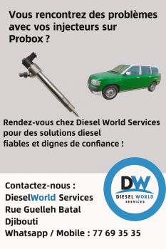 Réparation injecteurs Probox chez Diesel World Services