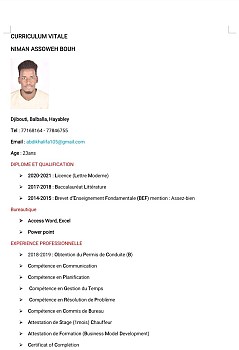Chauffeur a la recherche d\'un emploi