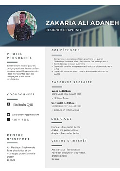 Recherche Emploi Designer Graphiste