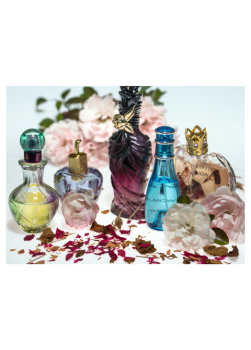 Nouvelle collection de parfums