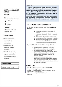 Chauffeur expérimenté, sérieux et ponctuel avec permis B et C