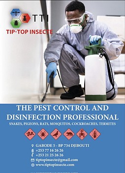 Tip Top Insecte Pest control in Djibouti since 2016
