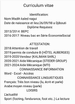 Homme sérieux et motivé, 26 ans, multi-expériences