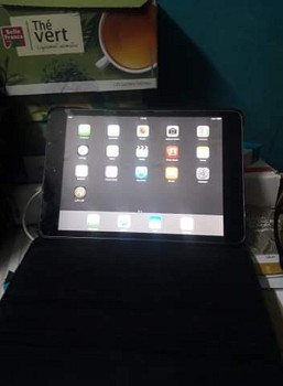 un Ipad mini très bon état.