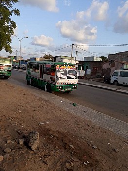 Bus Mitsubishi rosa