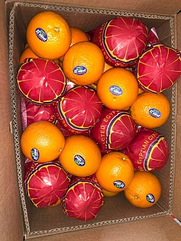 Carton d\'oranges 15kg