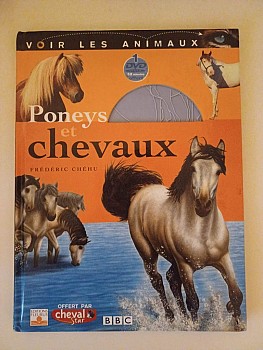 Titre \