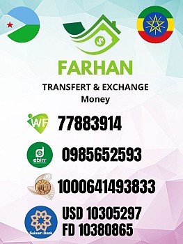 Service de change et transfert d\'argent chez Farhan Exchange
