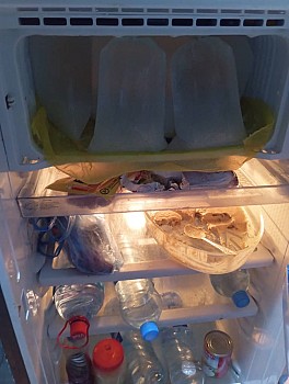 Frigo Congélateur en Excellent État - Occasion à Saisir