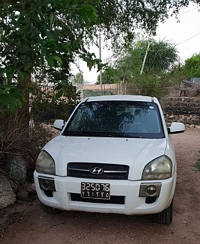 Voiture de marque Tucson