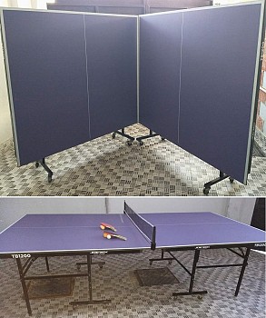 Table de ping-pong TB1200 en excellent état
