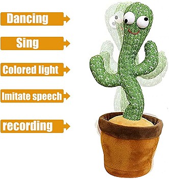 Jeu de cactus