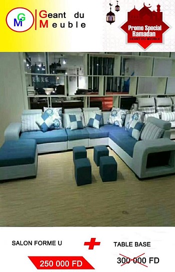 Salon forme U + 1 table basse
