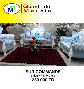Salon + table basse