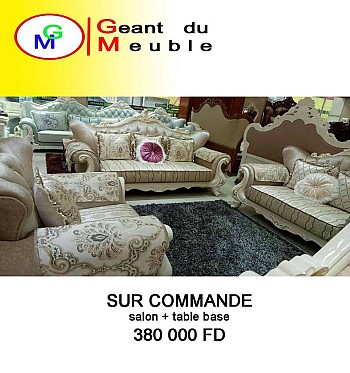 Salon + table basse