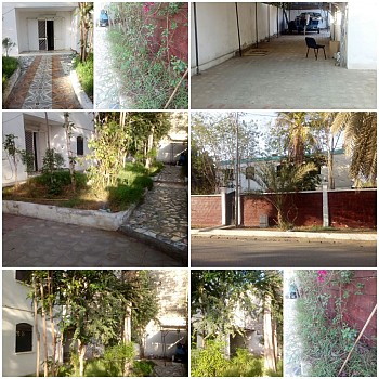 Location d'un villa f10