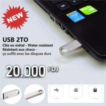 [2000 Giga] Clés USB 2TO en métal