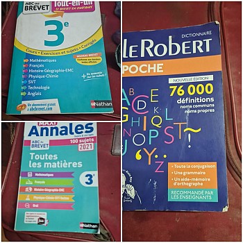 Annale de 3e et dictionnaire