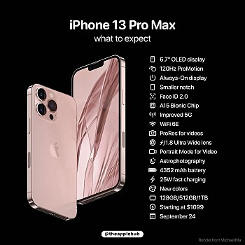iPHONE 13 PRO MAX / IPHONE 13