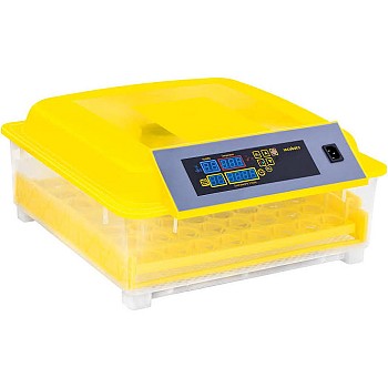 Couveuse d\'œufs (Eggs Incubator)