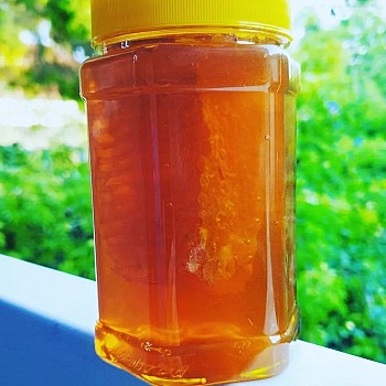 Miel 100% Naturel - 100% Natural Honey