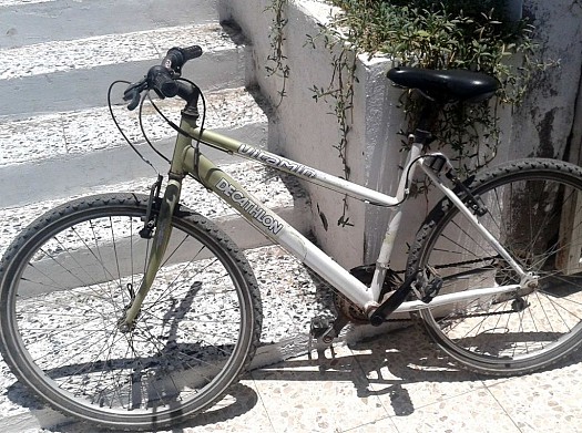 Vtt vitamin decathlon best sale