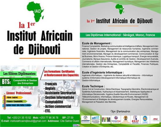institut africain de djibouti