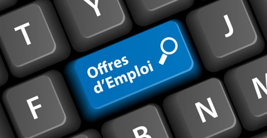 commercial informaticien