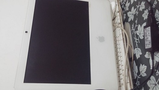 Macintoch Duo Core