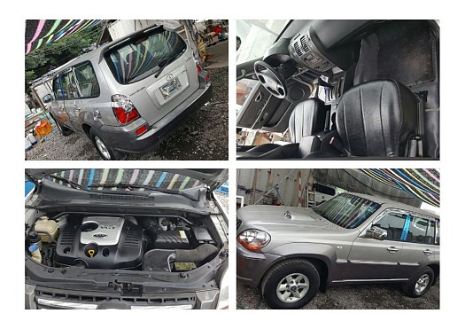 HYUNDAI, TERRACAN 2003