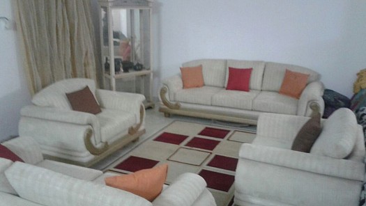 Salon complet en peau de chamois