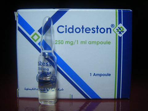 CIDOTESTON (Testosterone Enanthate) 250mg/1ml