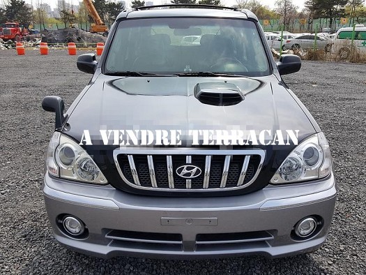 Hyundai terracan 2001