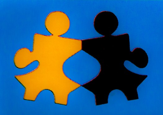 Recrutement d'un superviseur / assistant du chargé de programme