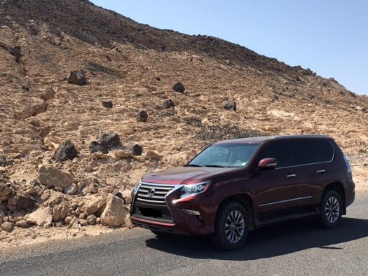2014 lexus gx460