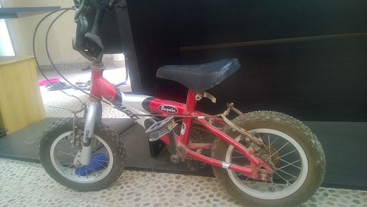 Vélo pour enfant de 5 ans